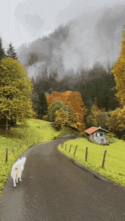 ehdgus1211 giphyupload GIF