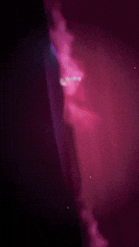 Netflix Mira GIF by Youtooz