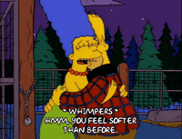 homer simpson GIF