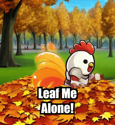 Fall Autumn GIF by Zorooster
