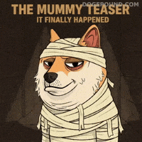 Its Happening At Last GIF by Doge Pound