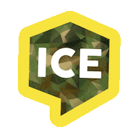 Team Ice Sticker by Linz News