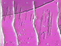 New Music Animation GIF by Manchester Orchestra