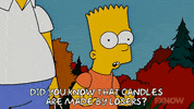 Season 18 Episode 6 GIF by The Simpsons