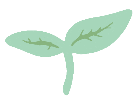 Summer Spring Sticker by Simplified