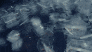 Kylian Mbappe Madness GIF by Nike Football