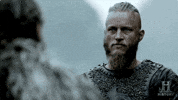 tv show GIF by Vikings on HISTORY