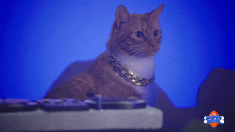 Hungry Football GIF by Puppy Bowl