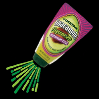 YucatanGuac mexico bbq salsa avocado GIF