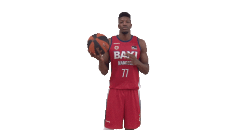 Liga Endesa Basketball Sticker by ACB