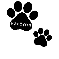 Dog Paws Sticker by Halcyon Forsyth