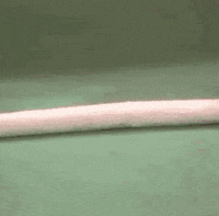 blossom russo jenna von oy GIF by absurdnoise