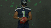 American Football GIF by Seattle Seahawks