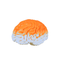 Elsevier nurse back to school nursing elsevier Sticker