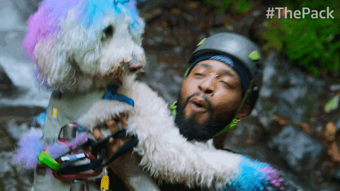 The Pack Dog GIF by Amazon Prime Video