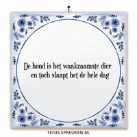 Nl Trots GIF by Tegelspreuken.nl