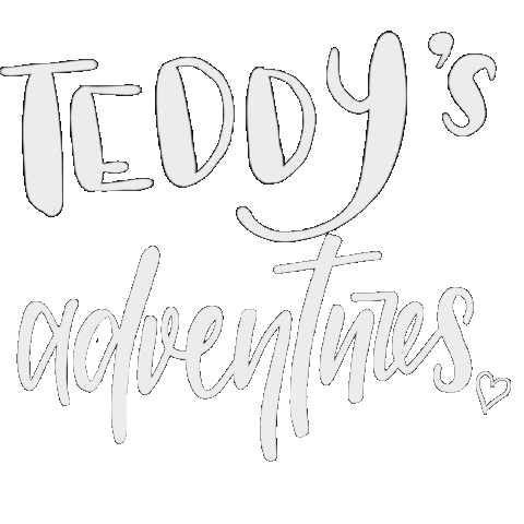 Adventure Teddy Sticker