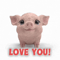 Happy Love You GIF by schleich®