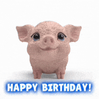Happy Birthday Smile GIF by schleich®
