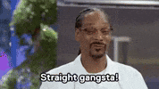 Snoop Dogg Gang GIF by MOODMAN
