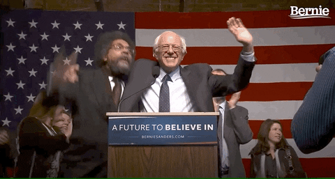 Feel The Bern Democrats GIF by Bernie Sanders