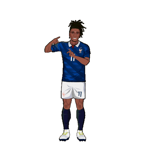 France Football Sticker by Panini America