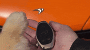 Pomeranian Mclaren GIF