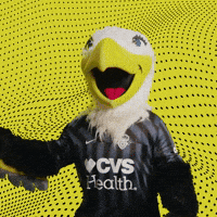 Happy Go Team GIF by Washington Spirit