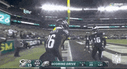 Philadelphia Eagles Football GIF by NFL