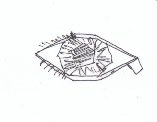 animation blinking GIF by TraceLoops