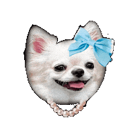 Dog Sticker
