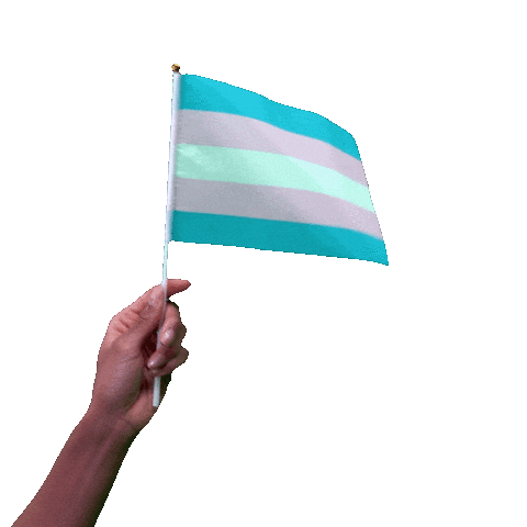 Trans Day Of Visibility Pride Sticker by Hello All
