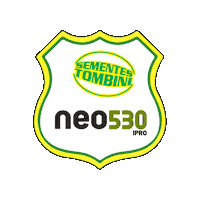 Neo St Sticker by sementestombini