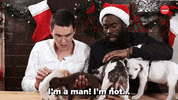 Drunk Dog GIF by BuzzFeed