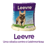 Egypt Dengue Sticker by Ourofino Saúde Animal