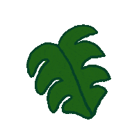 Green Leaf Sticker by Function of Beauty