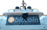 Bitcoin Sticker by Evan Luthra