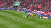 simon terodde football GIF by 1. FC Köln