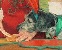 santa claus office cooking GIF by The Elves!