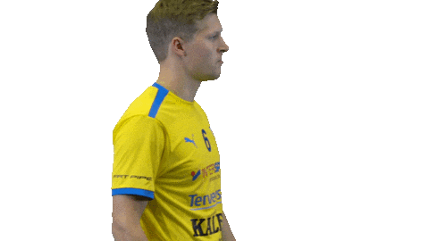 Floorball Salibandy Sticker by F-liiga