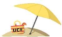 ucf knights beach Sticker by University of Central Florida