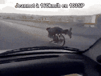 GIF by Giffffr