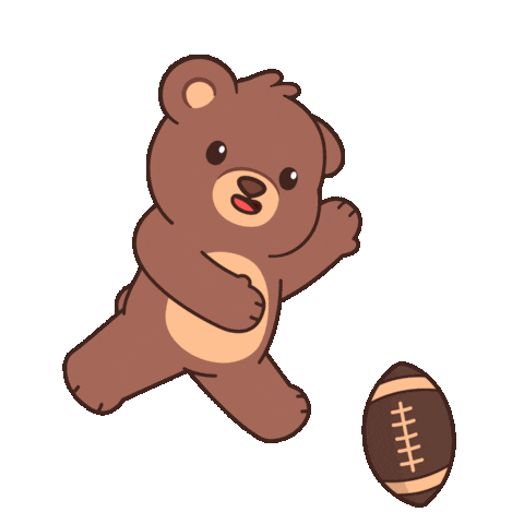 Super Bowl Win Sticker by BEARISH