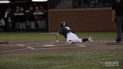 baseball wave GIF by GreenWave