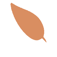 apolondon orange leaf brown shape Sticker