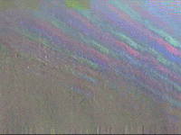 Footage Oaf GIF by jorgemariozuleta