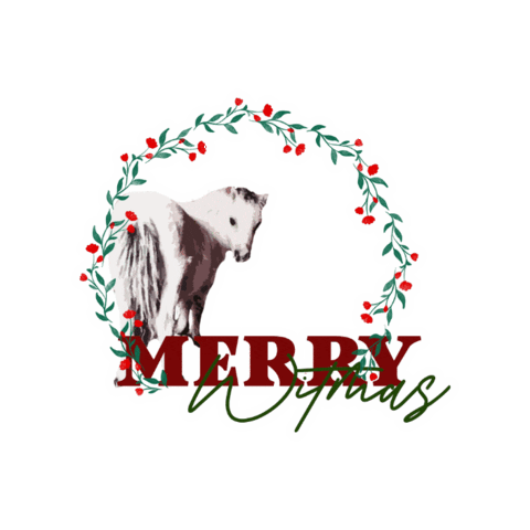 Witequestrian Sticker by WIT Equestrian Clothing Co.