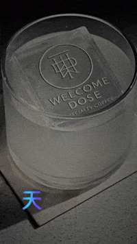 Cookie Shotoniphone GIF by Haus of Tzukuri