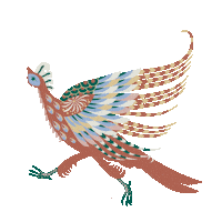 ReimaKidswear kids bird clothes transparency Sticker