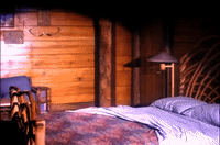 Season 2 GIF by Twin Peaks on Showtime